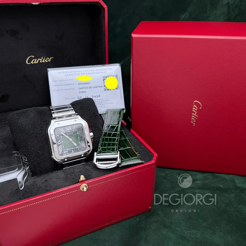 Cartier Santos Large WSSA0062 Verde 2025