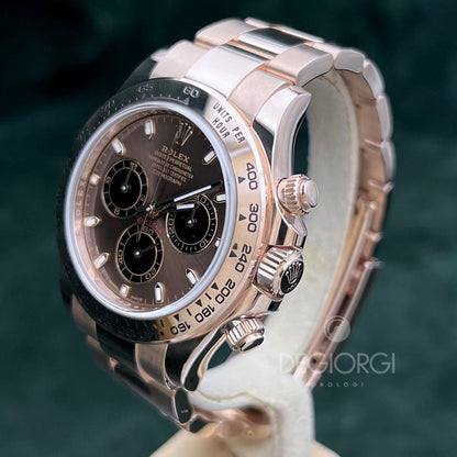 Rolex Daytona 116505 Everose Chocolate