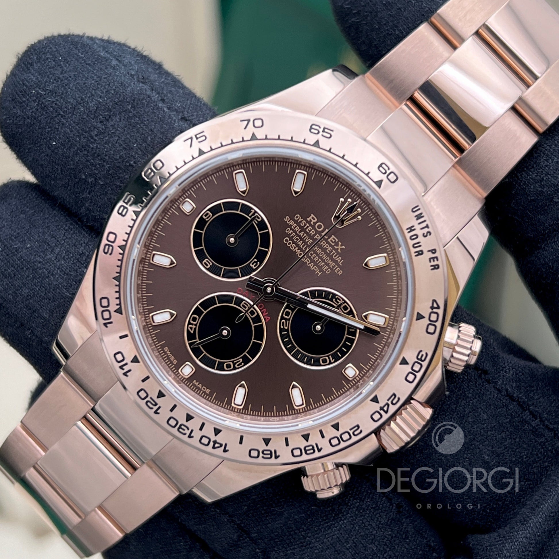 Rolex Daytona 116505 Everose Chocolate